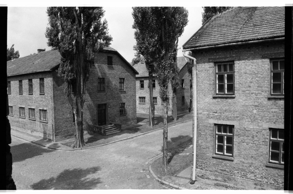 B/W photo of housing complex. There are three buildings and two trees shown in picture. Nikon D70 Film Camera 2004 - Negative Scan from Nikon COOLSCAN V ED 2008