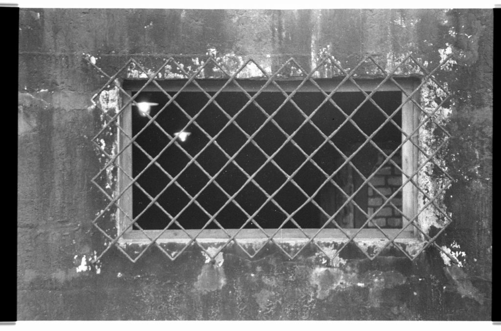 B/W photo of a basement grate. Rusty grate encased in chipping and worn concrete.  Nikon D70 Film Camera 2004 - Negative Scan from Nikon COOLSCAN V ED 2008