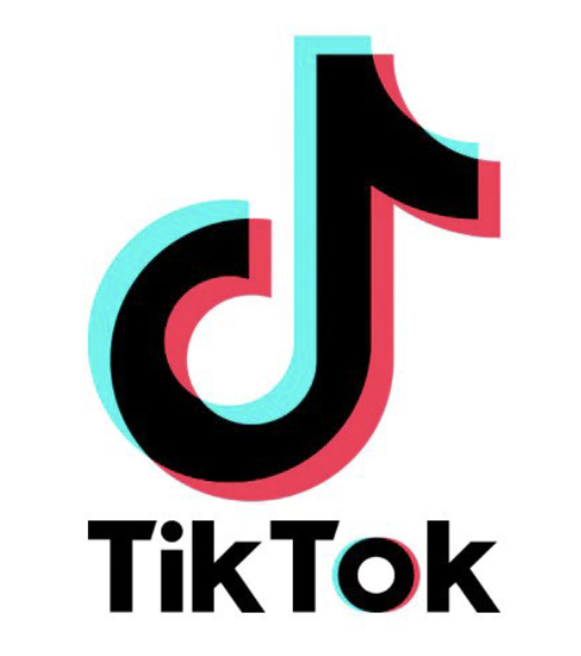 TikTok Logo
